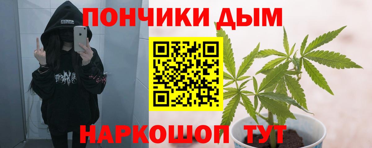 Каннабис план Миллерово